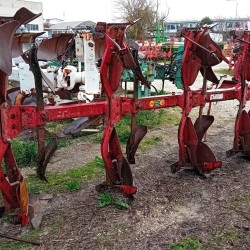 ARATRO QUADRIVOMERE VOGEL NOOT