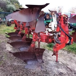 ARATRO QUADRIVOMERE VOGEL NOOT