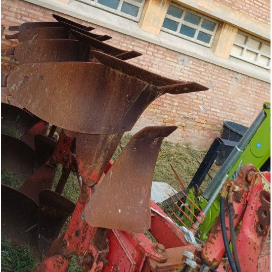 ARATRO QUADRIVOMERE VOGEL NOOT