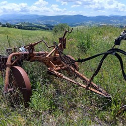 ARATRO BIVOMERE GIORGI - TRAINATO