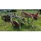 ARATRO TRIVOMERE NARDI 2BT I 1 - TRAINATO