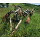 ARATRO TRIVOMERE NARDI 2BT I 1 - TRAINATO