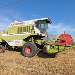 MIETITREBBIA CLAAS 198 H - DOMINATOR
