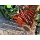 SEMINATRICE COMBINATA AMAZONE KG 3000 SUPER + SEMINATRICE AMAZONE AD-P 3000 R