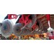 SEMINATRICE COMBINATA MASCHIO GASPARDO DAMA 300