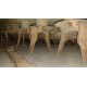 SEMINATRICE COMBINATA AMAZONE AD-P 3000R