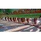 SEMINATRICE COMBINATA AMAZONE KE 3002 + SEMINATRICE AMAZONE D9 3000 SPECIAL