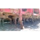SEMINATRICE COMBINATA MASCHIO GASPARDO ALIANTE 300 - 24 SEMINATRICE COMBINATA MASCHIO GASPARDO ALIANTE 300 - 24
