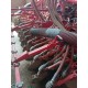 SEMINATRICE COMBINATA GASPARDO PA 1 + PEGORARO 4000 - ISOBUS