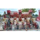 SEMINATRICE AGRICOLA ITALIANA P 300 - 6 F
