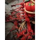 SEMINATRICE GASPARDO PINTA 400