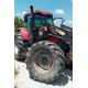 CASE MX 135 + CARICATORE FRONTALE STOLL F 35 ROBUST ____ TRATTORE GOMMATO