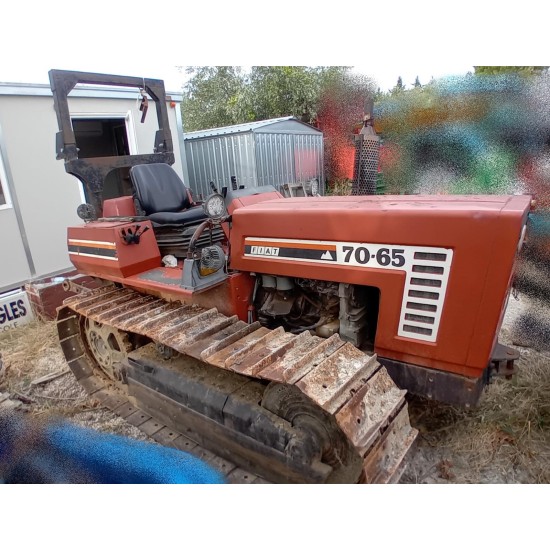 FIAT - FIATAGRI 70 - 65 C   ____ TRATTORE CINGOLATO