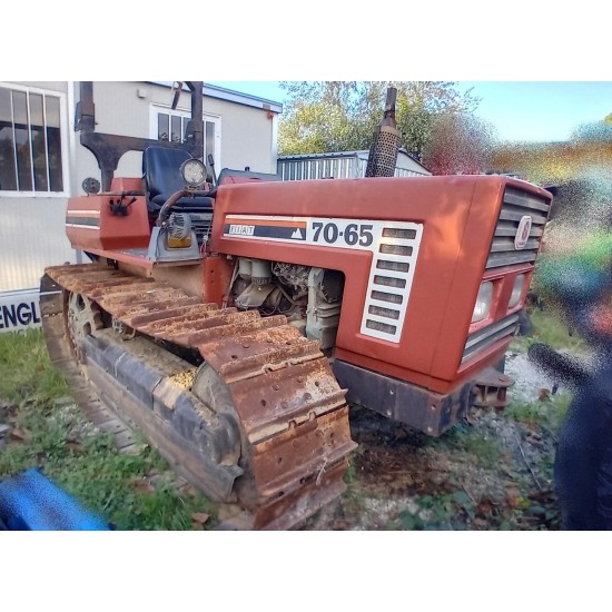 FIAT - FIATAGRI 70 - 65 C   ____ TRATTORE CINGOLATO