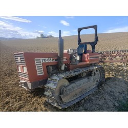 FIAT - FIATAGRI 70 - 65 C   ____ TRATTORE CINGOLATO