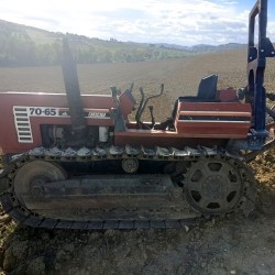 FIAT - FIATAGRI 70 - 65 C   ____ TRATTORE CINGOLATO