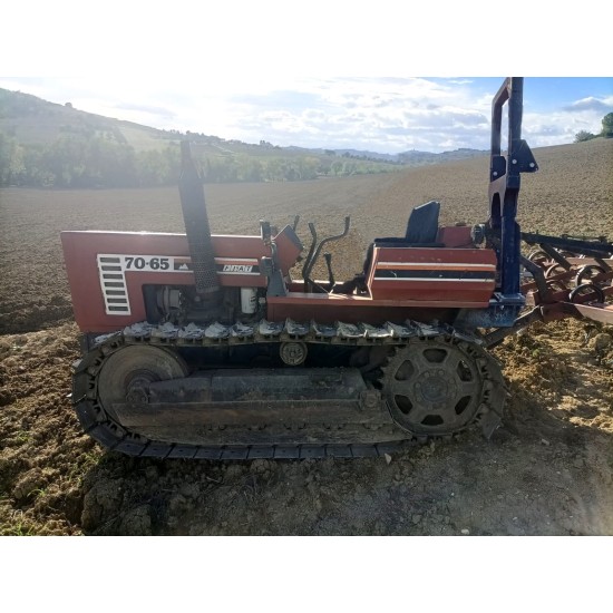 FIAT - FIATAGRI 70 - 65 C   ____ TRATTORE CINGOLATO