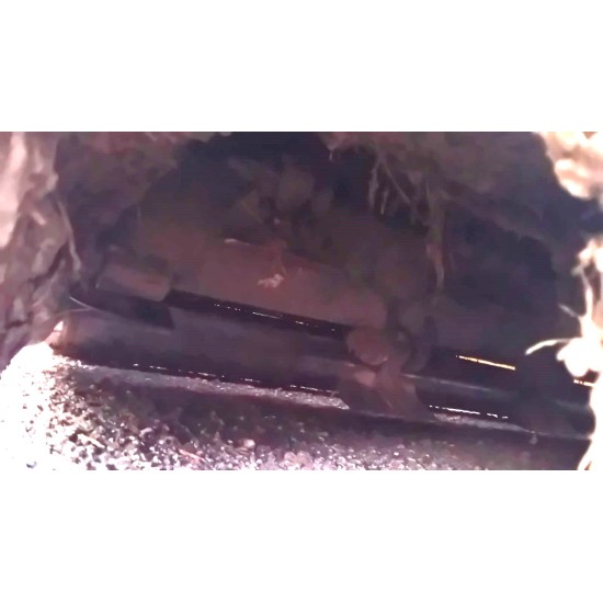 TRINCIATUTTO BERTI TFB/EC 200