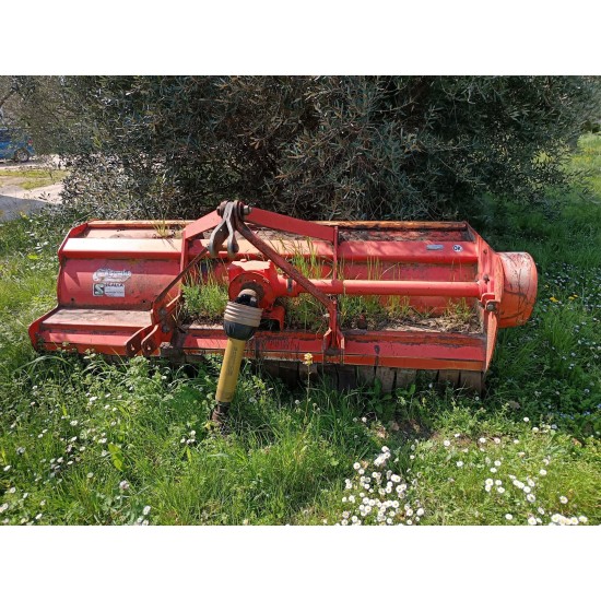 TRINCIATUTTO MASCHIO CHIARA 230