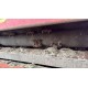 TRINCIA ARGINI MASCHIO GIRAFFONA 260
