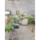 FALCIACONDIZIONATRICE CLAAS DISCO 3100 RC