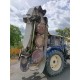 FALCIATRICE CLAAS CORTO 270 N