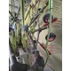 RANGHINATORE CLAAS LINER 2900