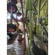 RANGHINATORE CLAAS LINER 2900