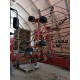 RANGHINATORE KUHN GA 7301