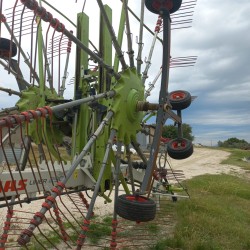 RANGHINATORE CLAAS LINER 2900