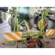 VOLTAFIENO CLAAS VOLTO 52