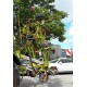 VOLTAFIENO CLAAS VOLTO 900