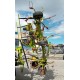 VOLTAFIENO CLAAS VOLTO 900