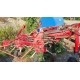 VOLTAFIENO POTTINGER 900