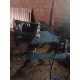RIPUNTATORE GIORGI 5 - 250