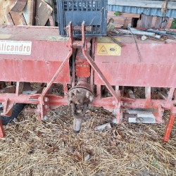 VANGATRICE D'ALICANDRO CM 150