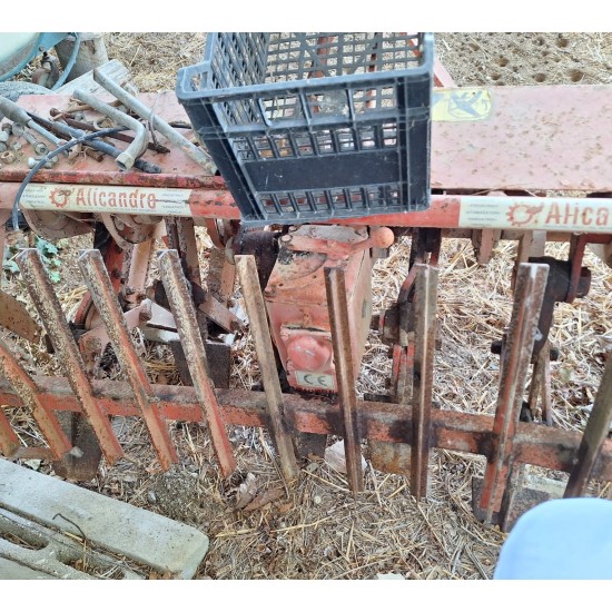 VANGATRICE D'ALICANDRO CM 150