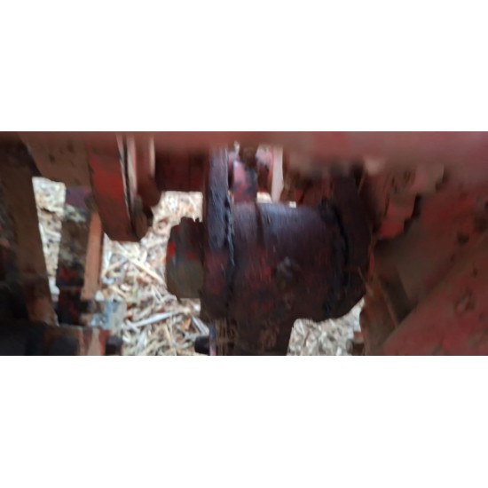 VANGATRICE D'ALICANDRO CM 150