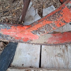 VANGATRICE D'ALICANDRO CM 150