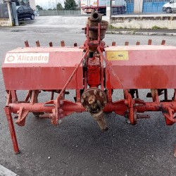 VANGATRICE D'ALICANDRO CM 150