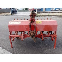 VANGATRICE D'ALICANDRO CM 150